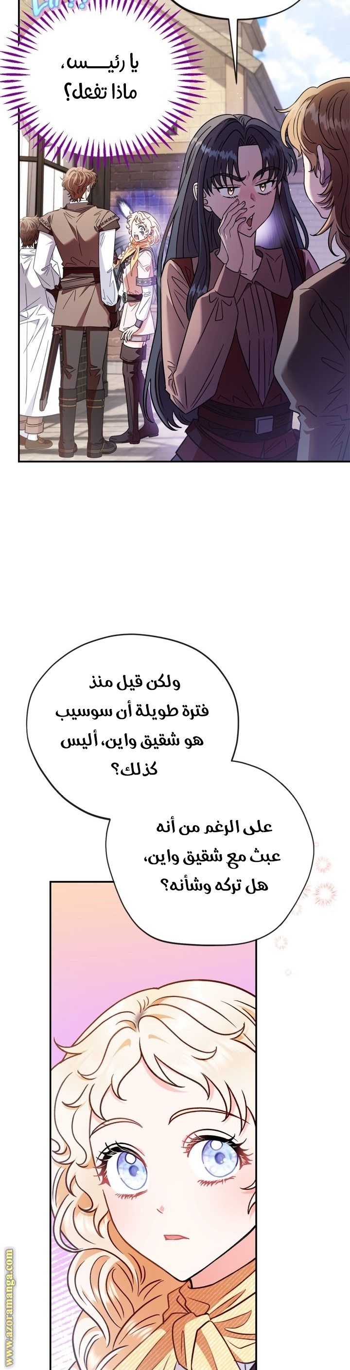 الصفحة 25