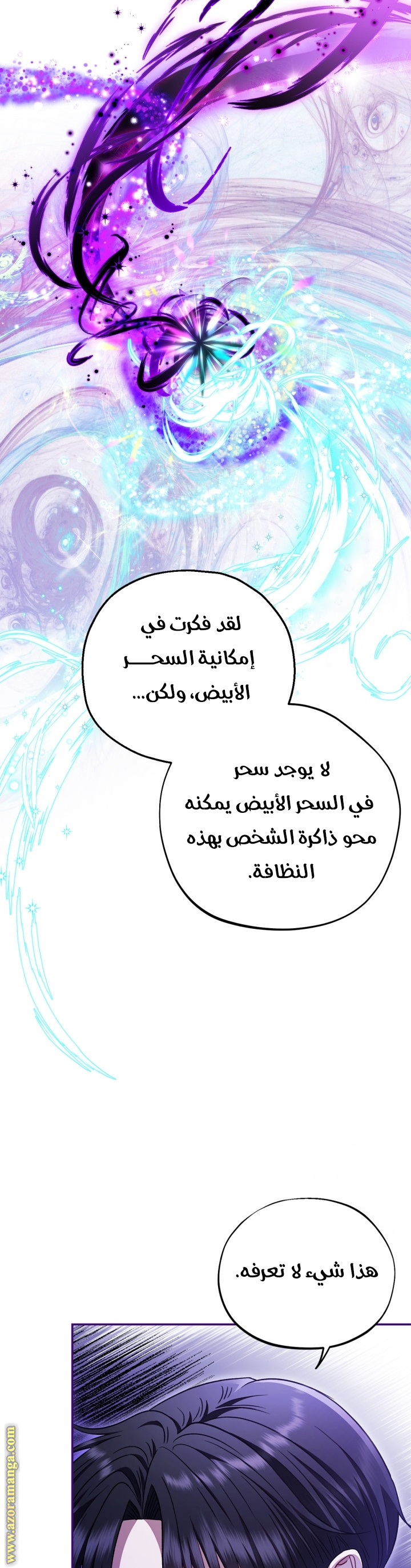 الصفحة 25