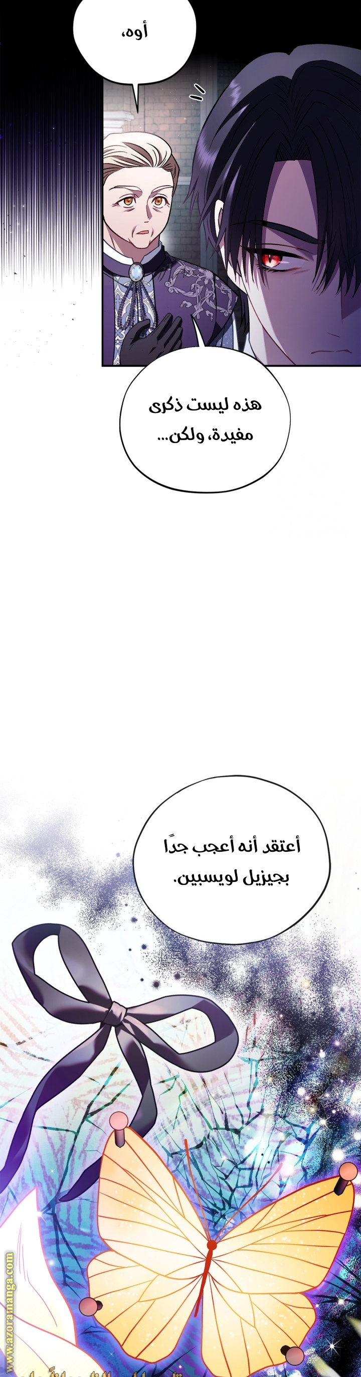 الصفحة 29