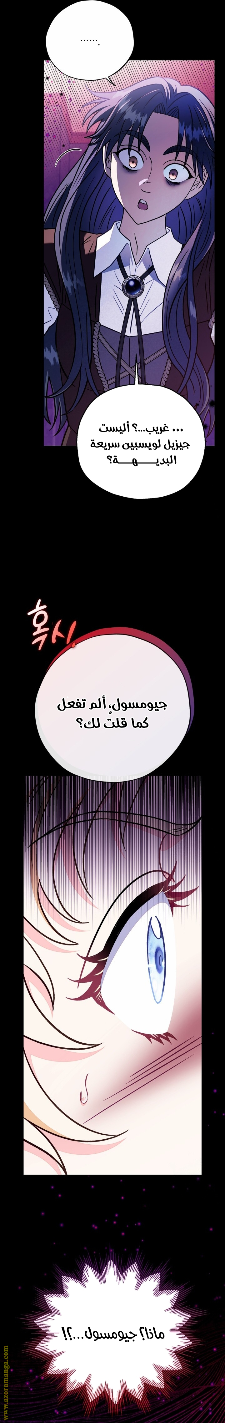 الصفحة 17