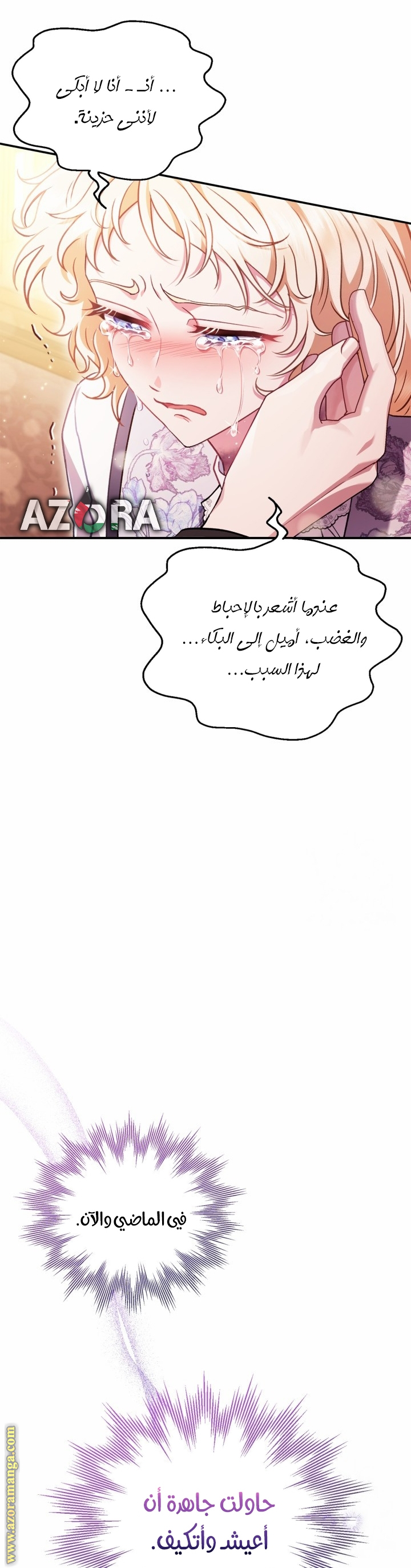 الصفحة 12