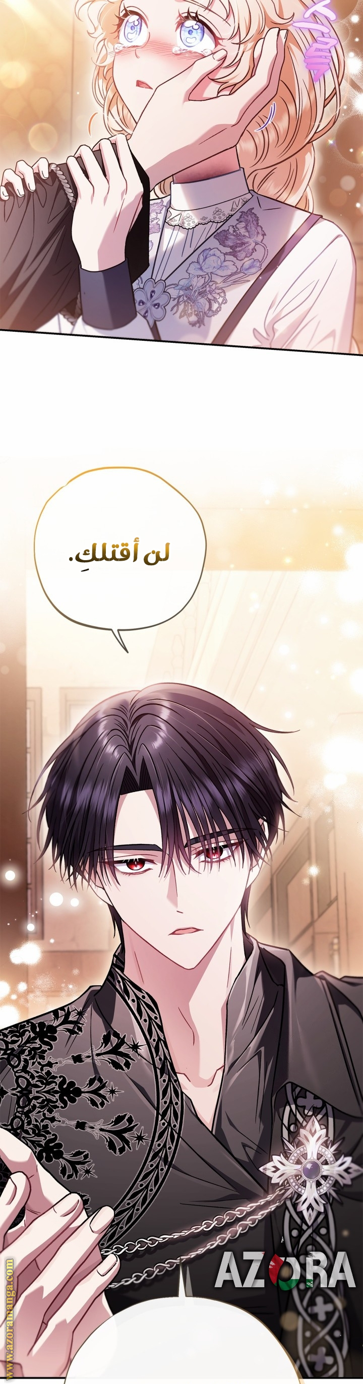 الصفحة 17