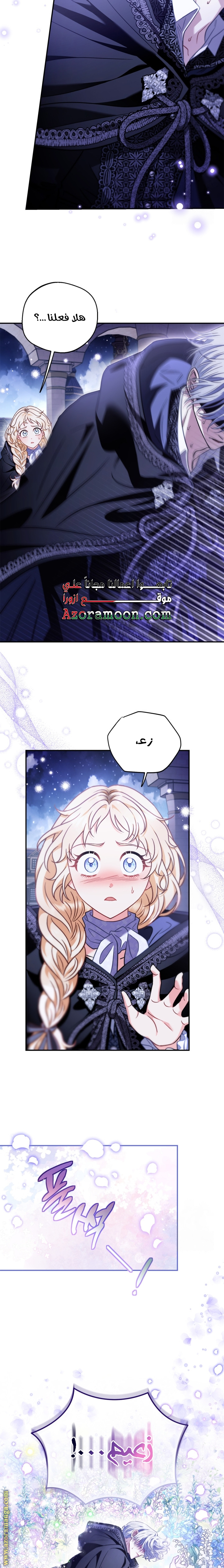 الصفحة 29