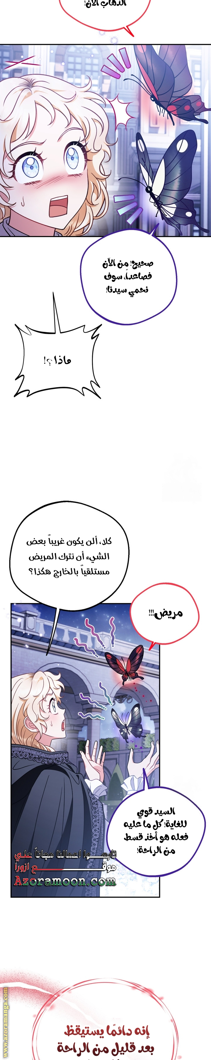 الصفحة 13