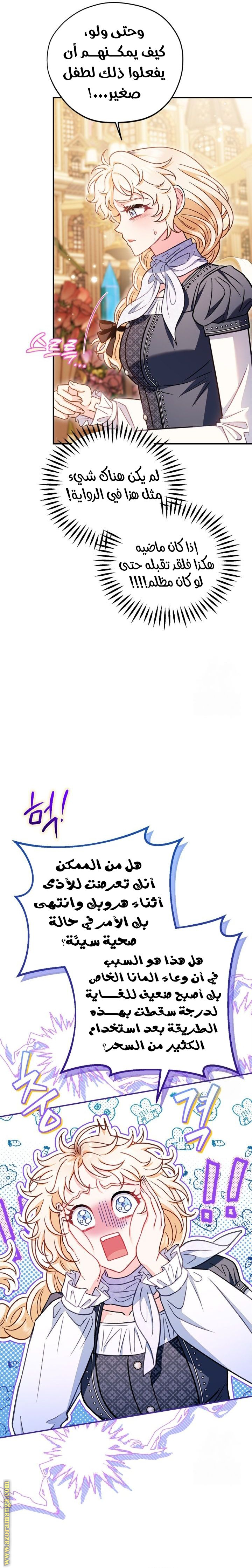 الصفحة 17