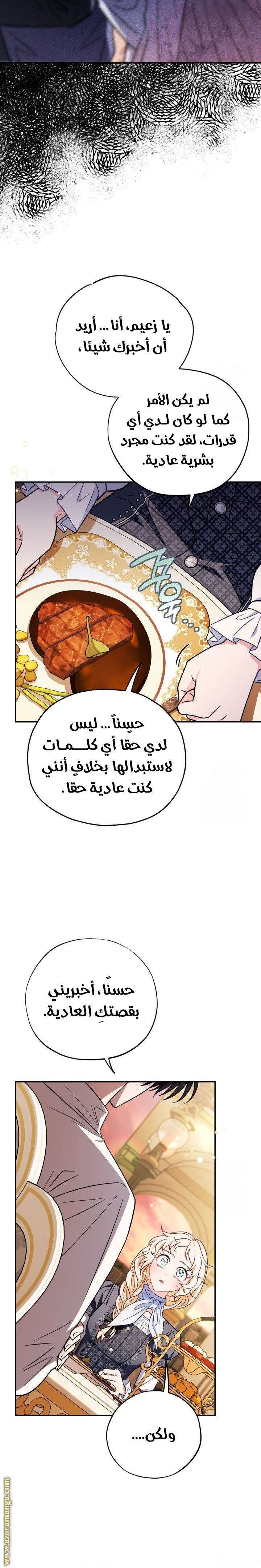 الصفحة 26