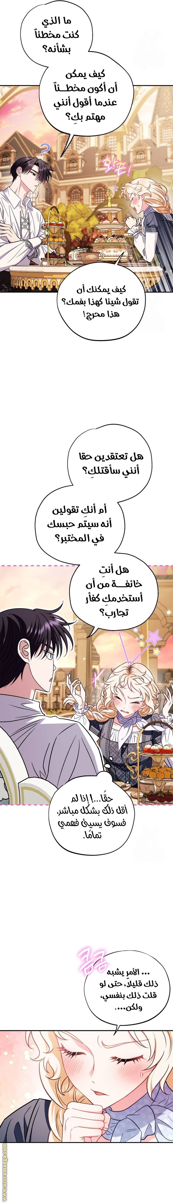 الصفحة 29