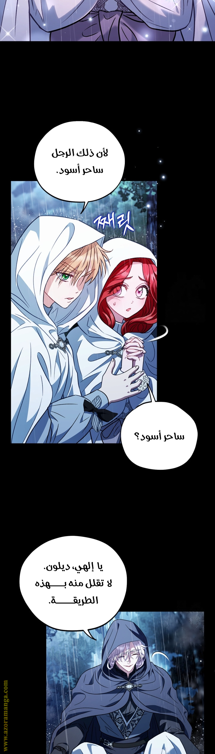 الصفحة 11