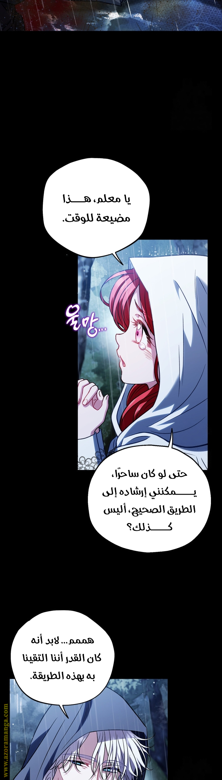 الصفحة 13