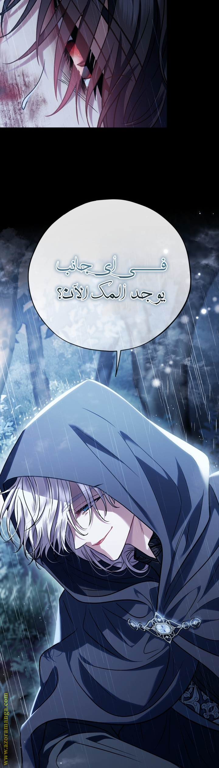 الصفحة 15