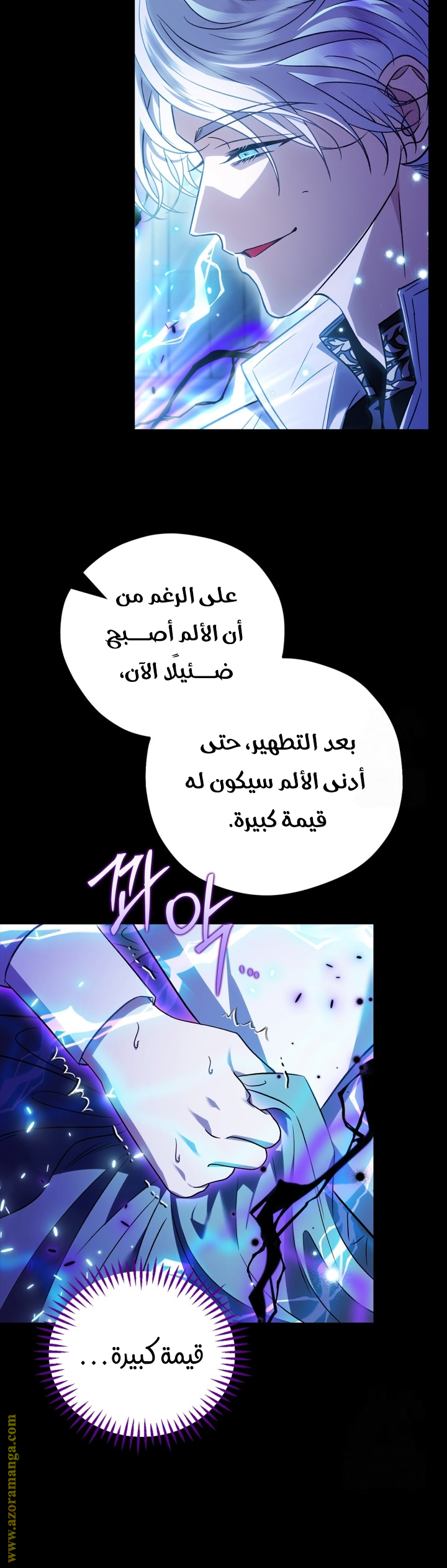 الصفحة 27