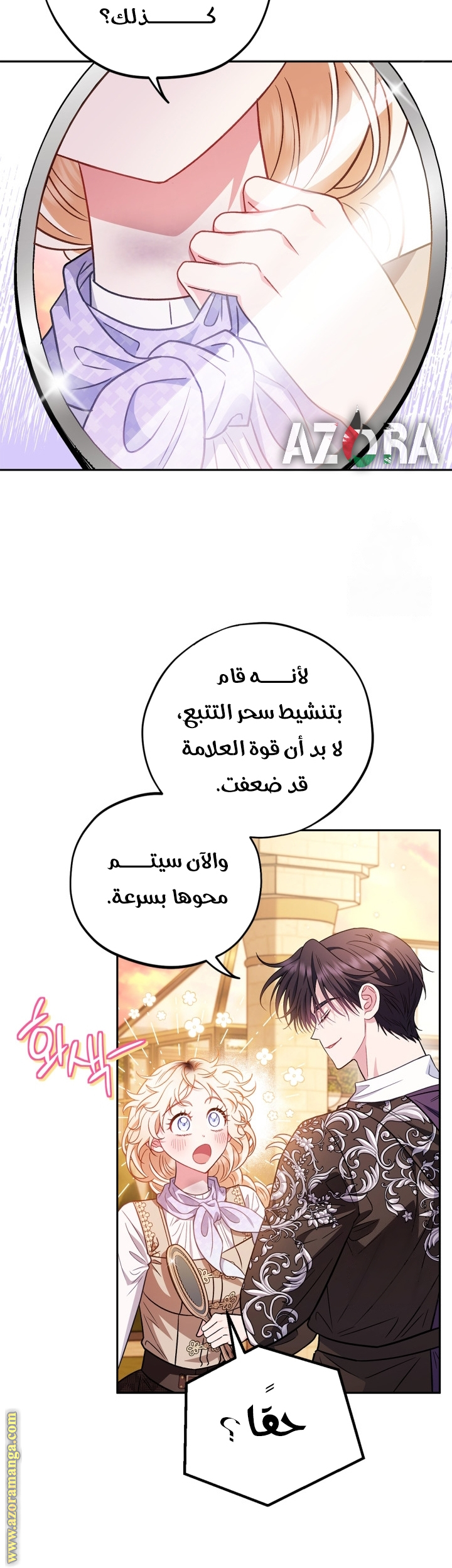 الصفحة 27