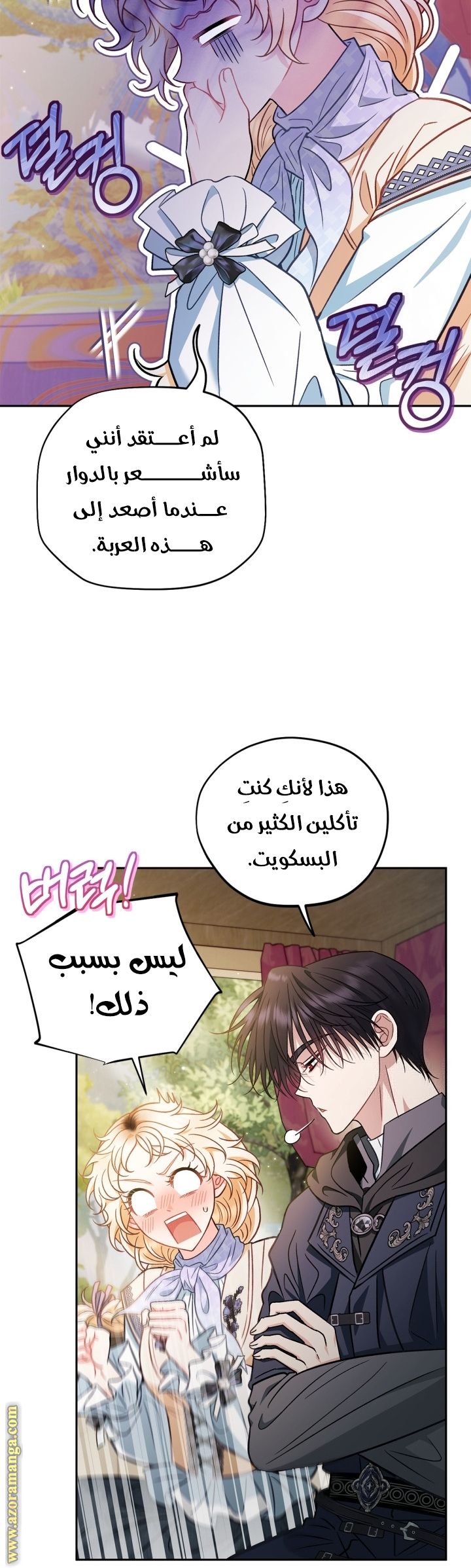 الصفحة 42