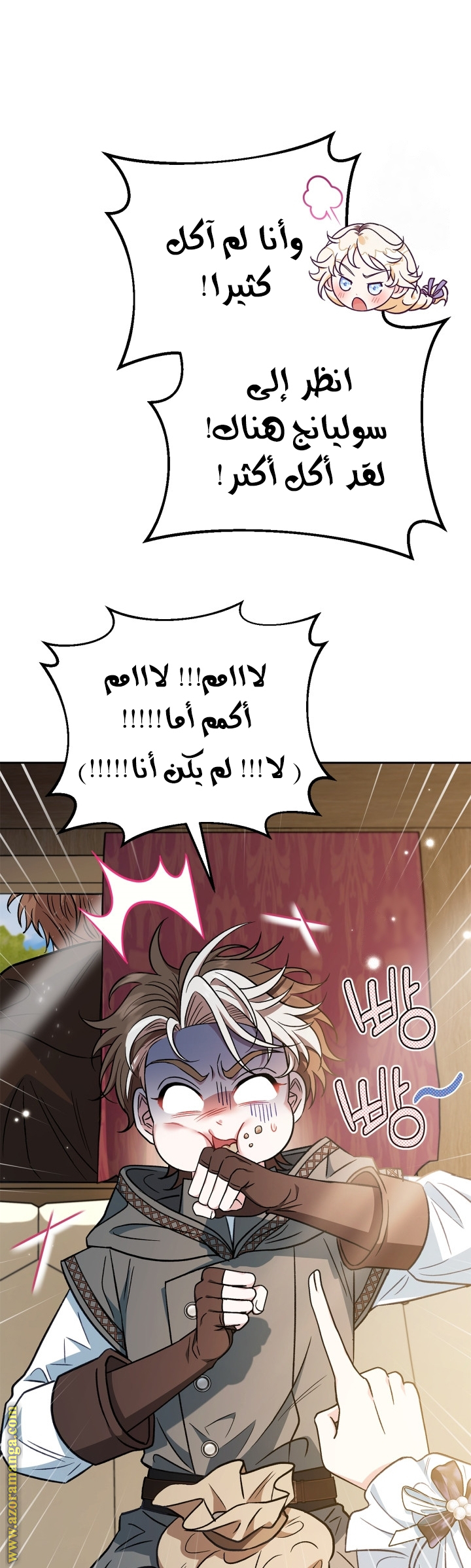 الصفحة 43