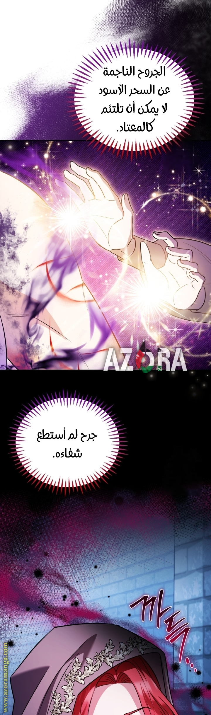 الصفحة 21