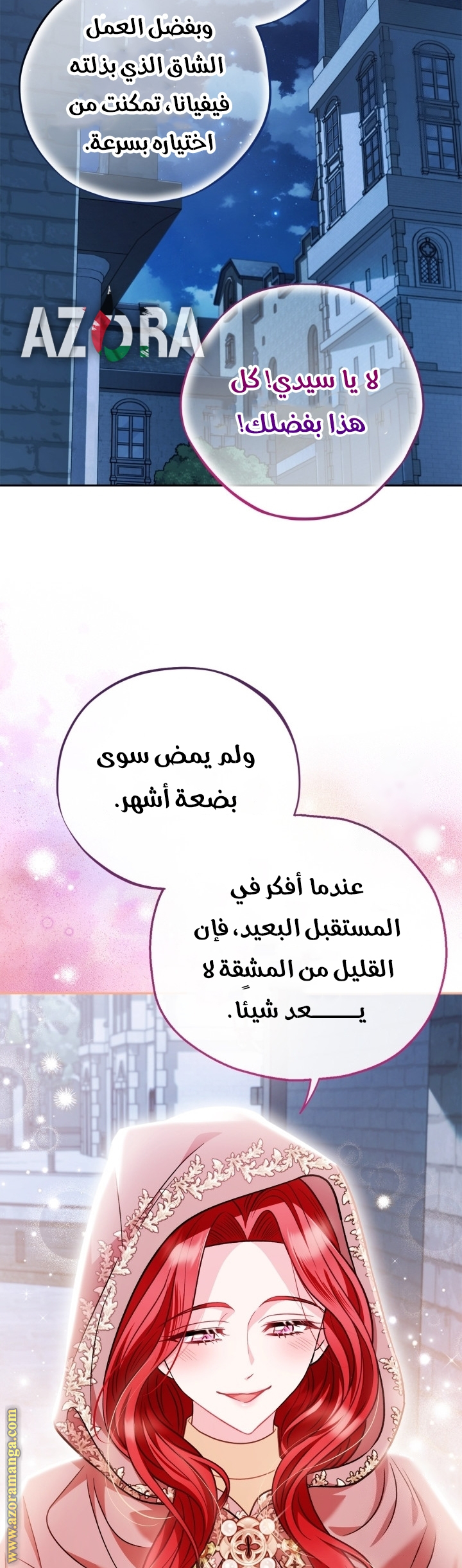 الصفحة 27