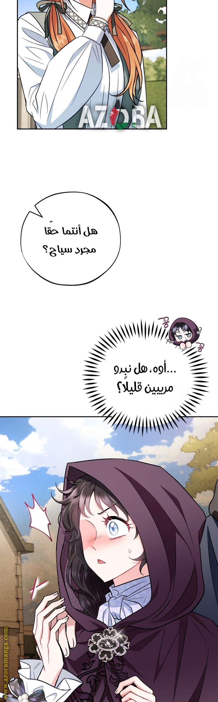 الصفحة 43