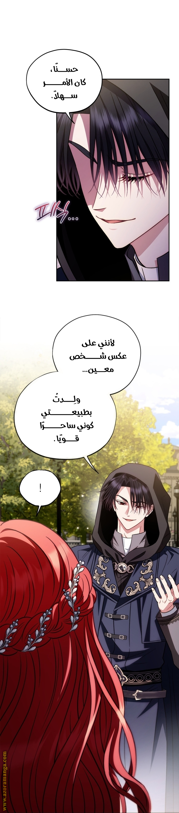 الصفحة 13