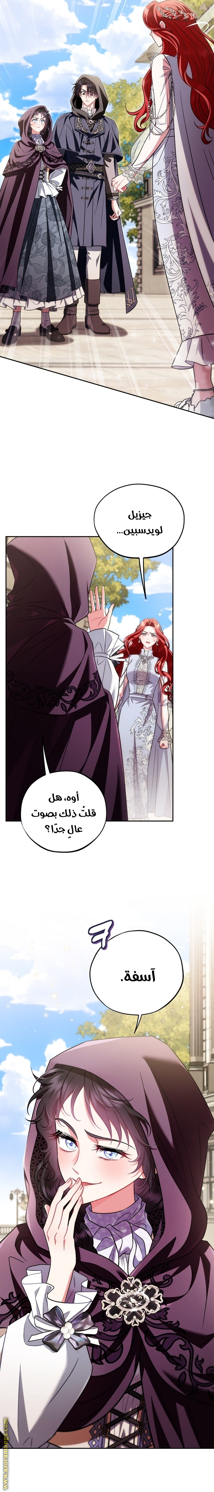 الصفحة 17