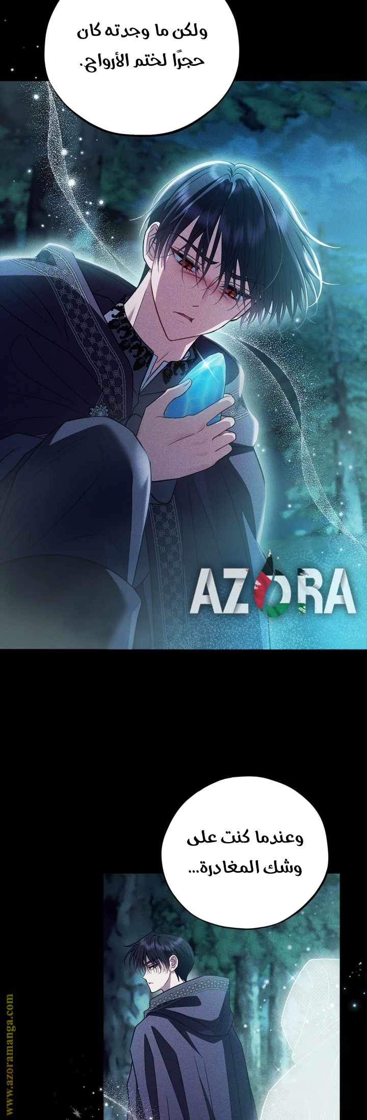 الصفحة 25