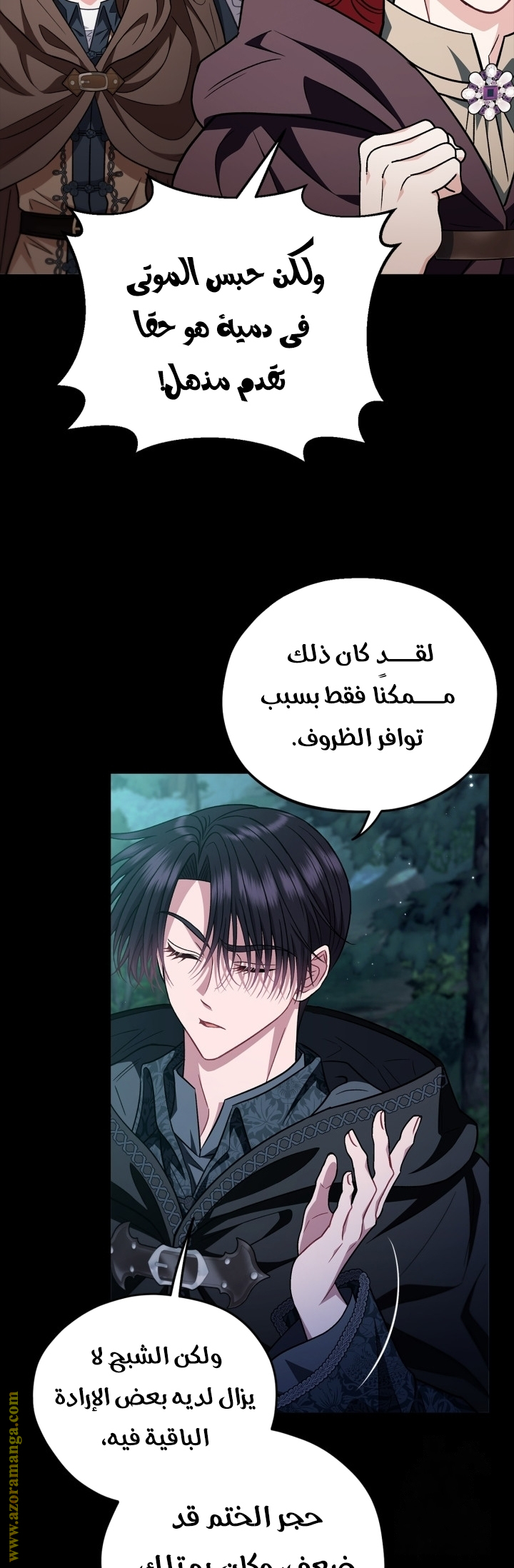 الصفحة 29