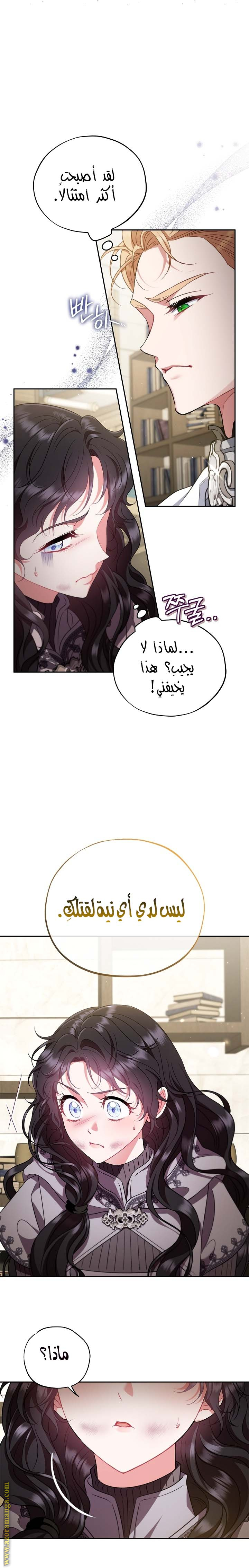الصفحة 29