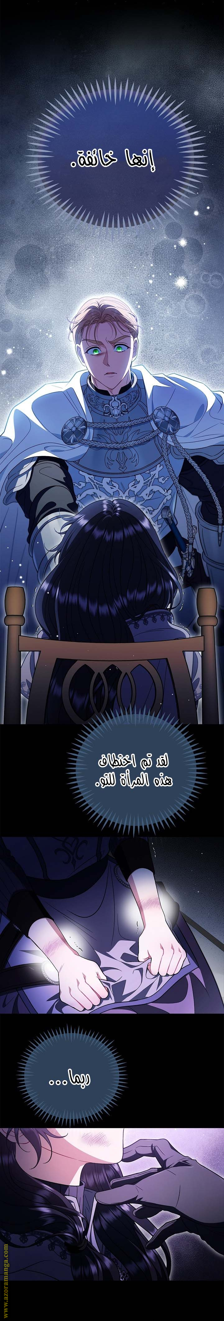 الصفحة 17