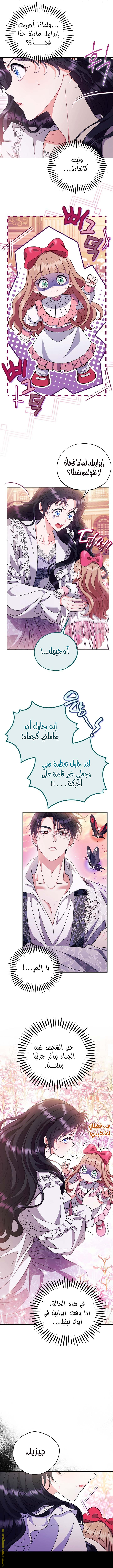 الصفحة 11