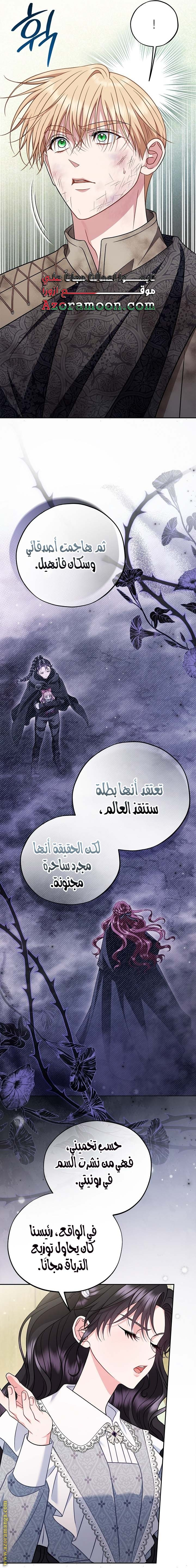 الصفحة 13