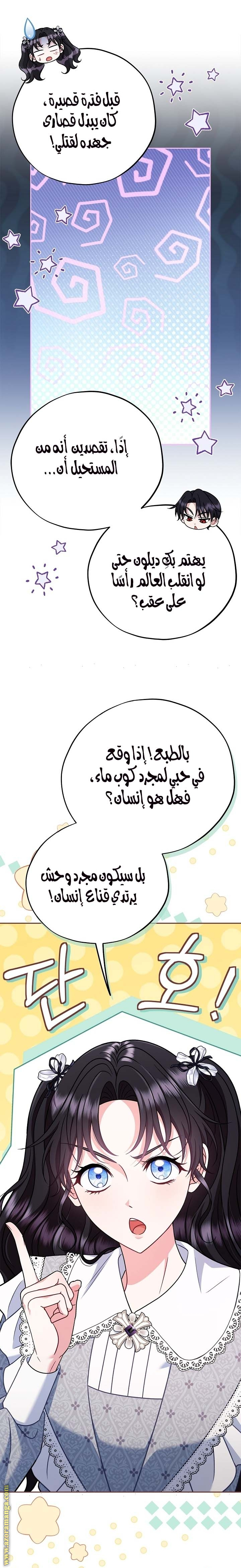 الصفحة 26
