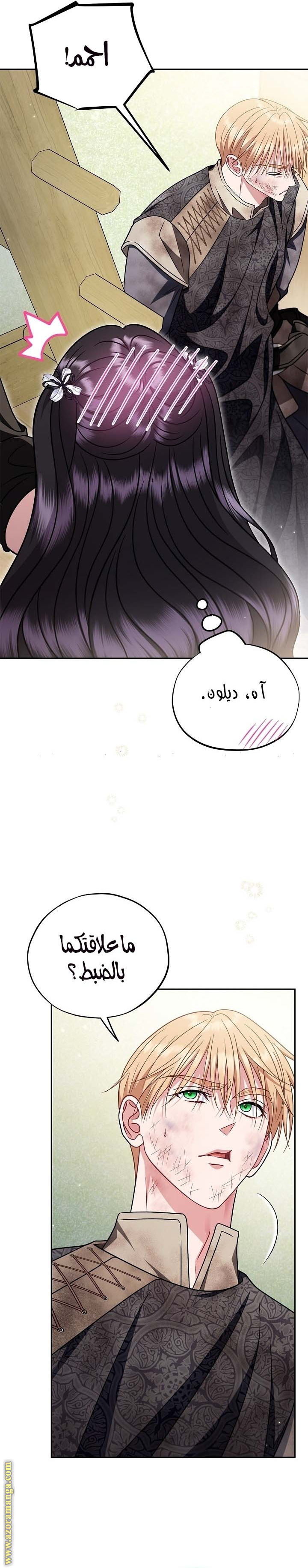 الصفحة 29