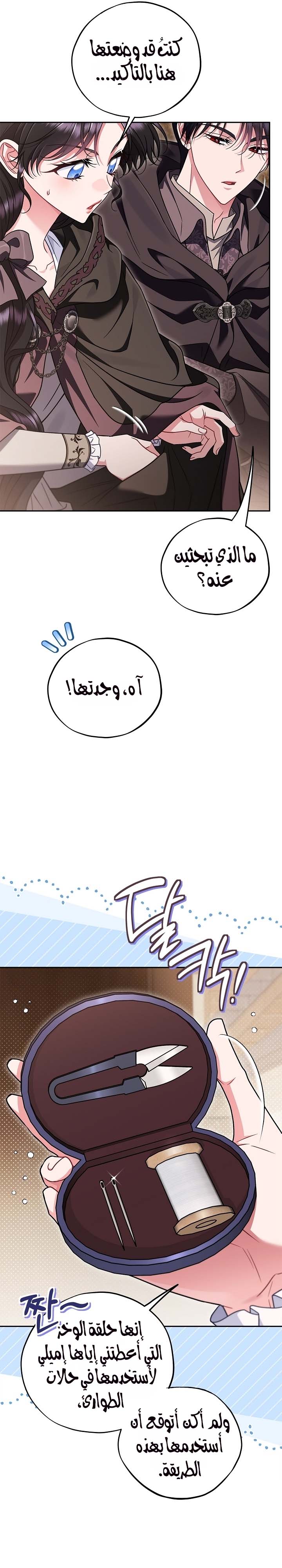 الصفحة 13