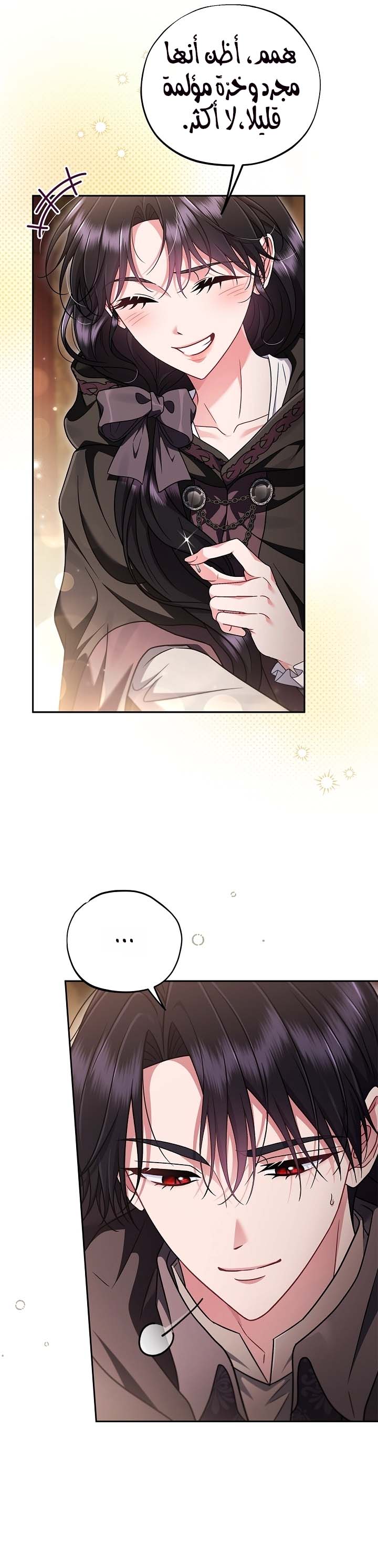 الصفحة 17
