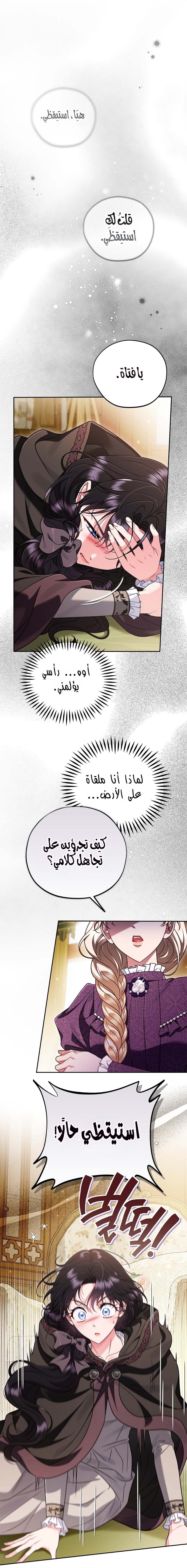 الصفحة 24