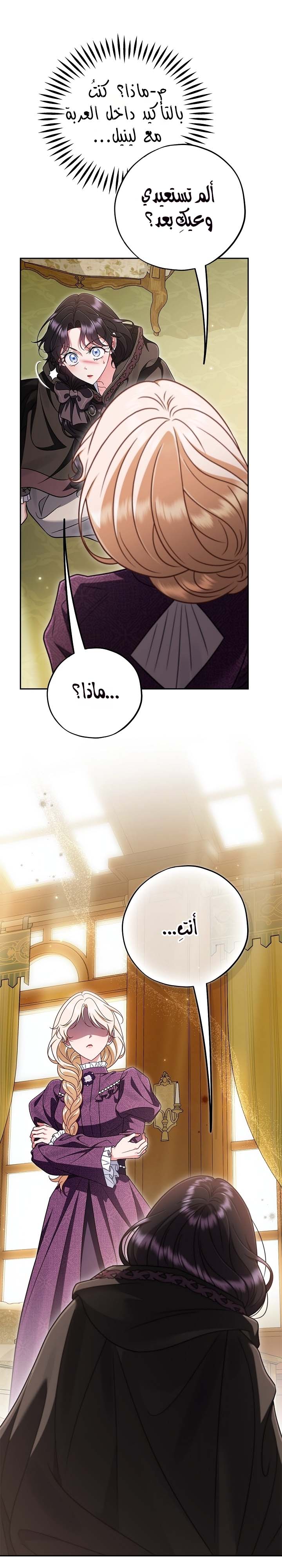 الصفحة 25