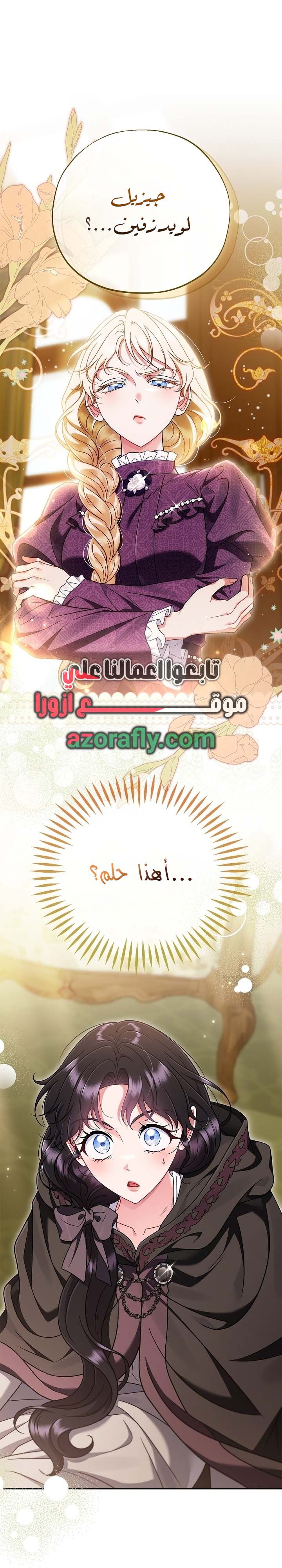الصفحة 26