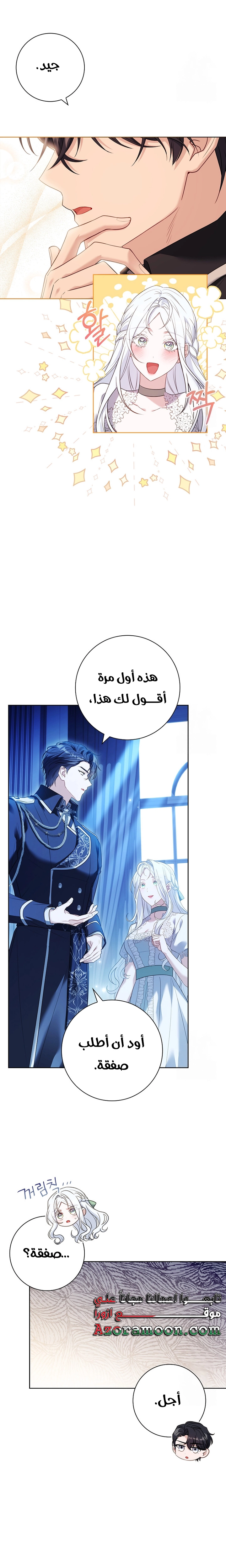 الصفحة 17
