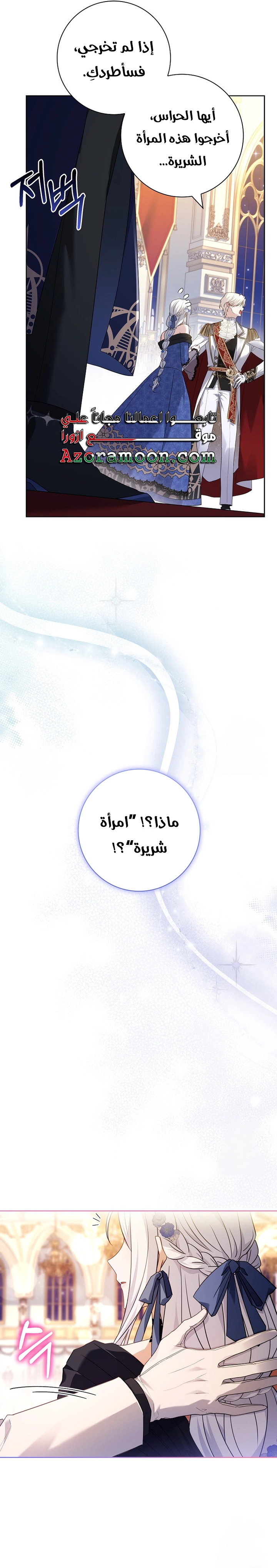 الصفحة 21