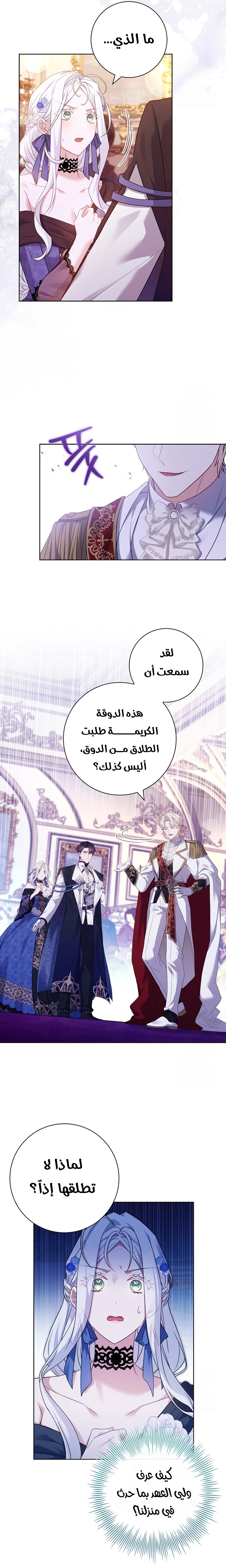 الصفحة 24