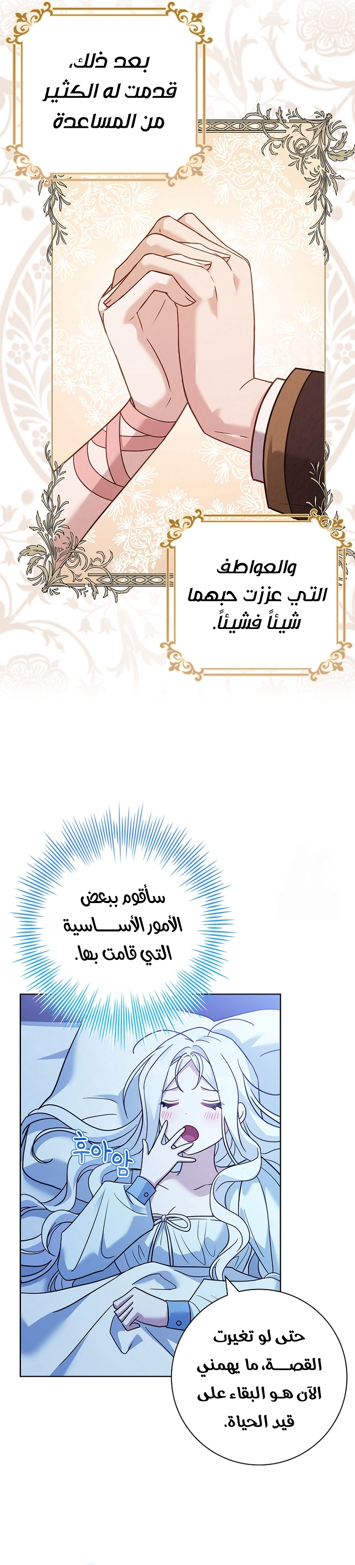 الصفحة 24