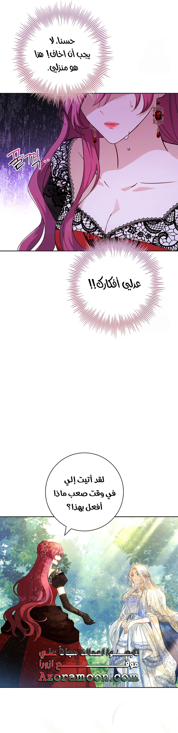 الصفحة 17