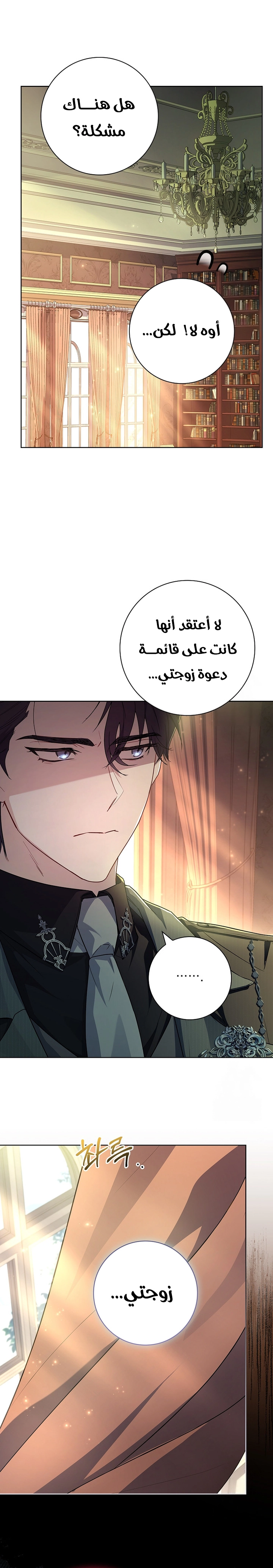الصفحة 25