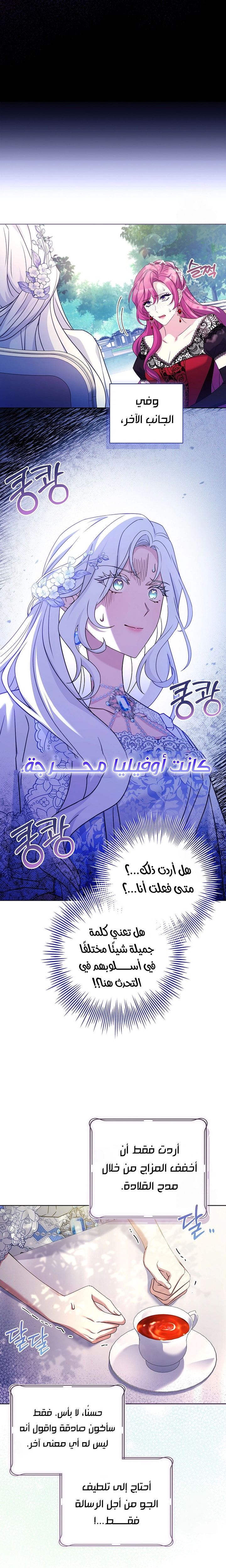 الصفحة 25
