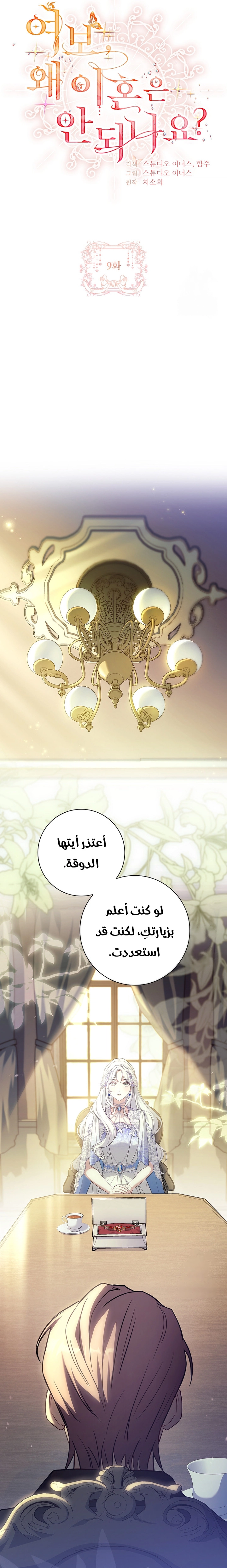 الصفحة 13
