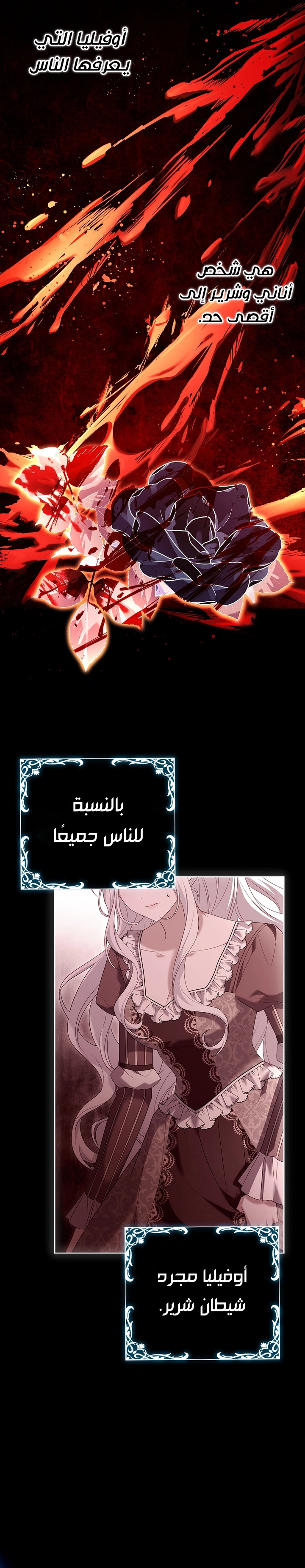 الصفحة 29