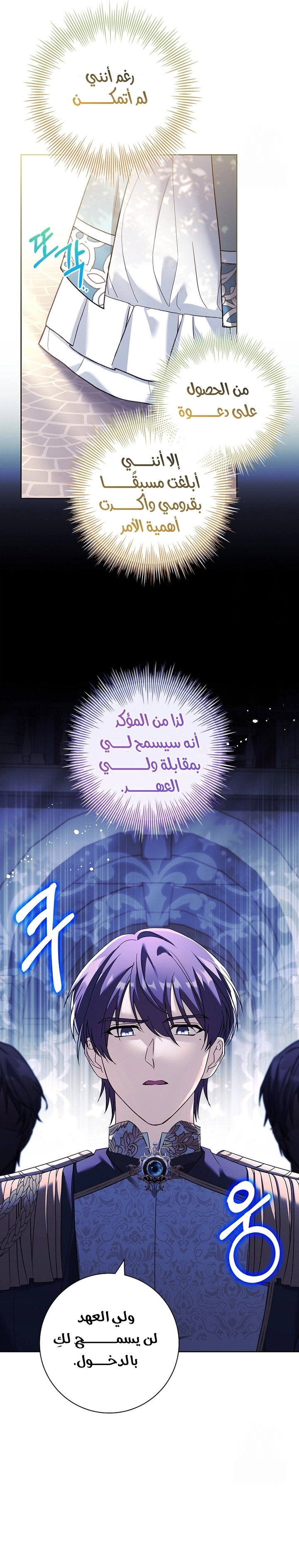 الصفحة 17