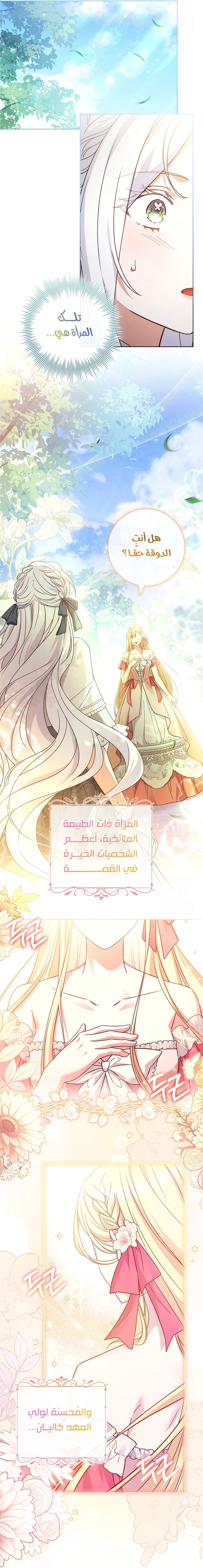 الصفحة 27