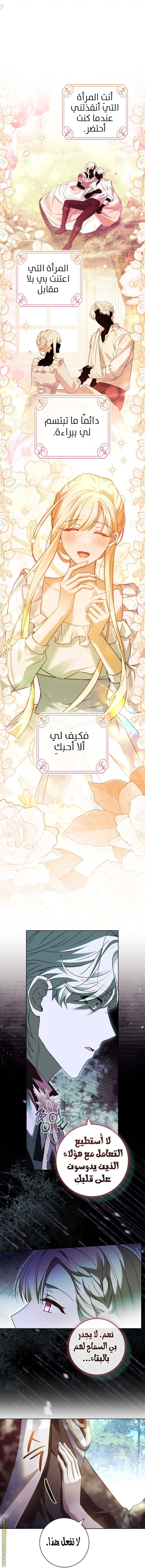 الصفحة 16
