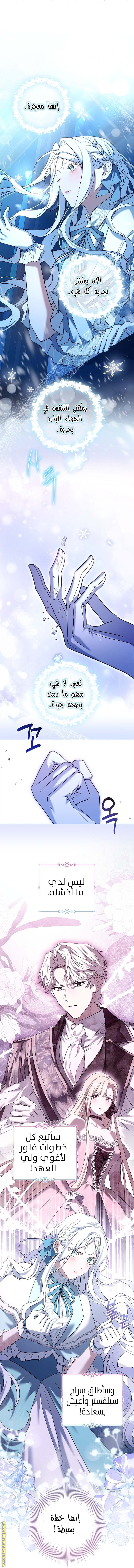 الصفحة 26
