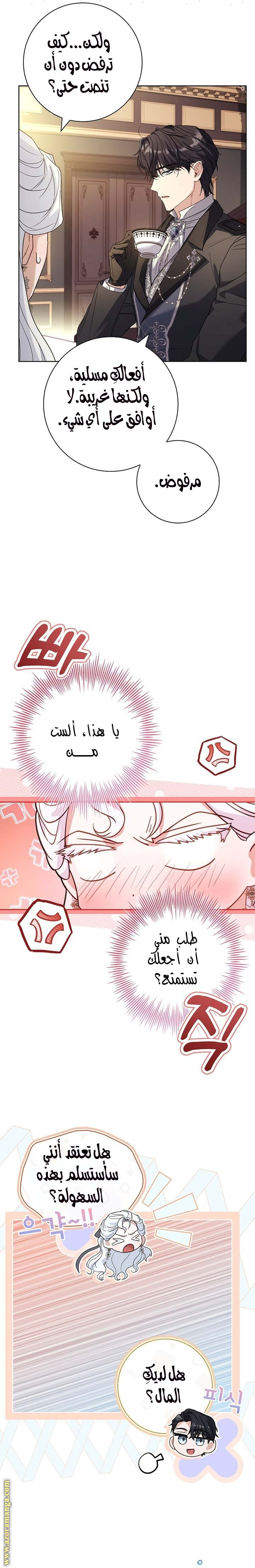 الصفحة 17